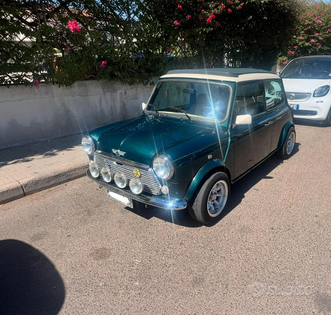 Rover Mini