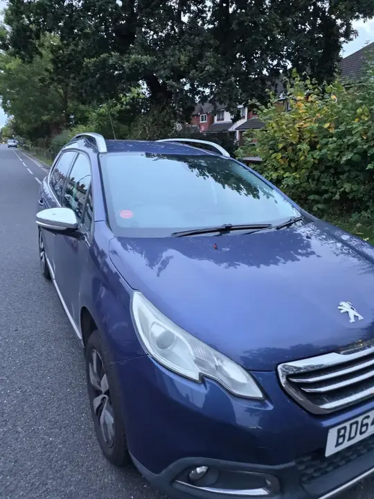 Peugeot 2008 2014 photo 2