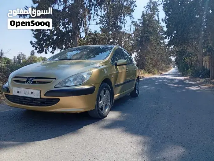 Peugeot 307 2006 photo 2