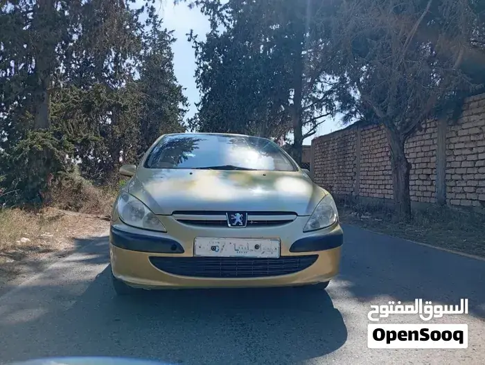 Peugeot 307 2006 photo 3