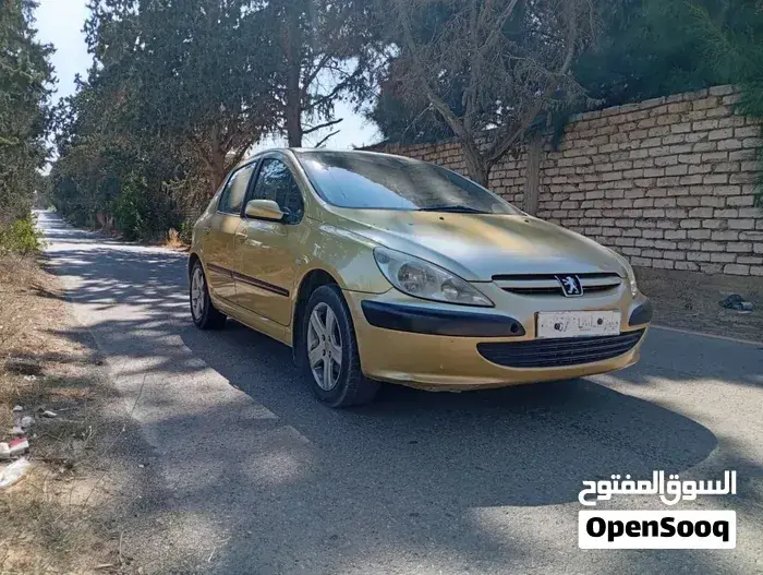 Peugeot 307