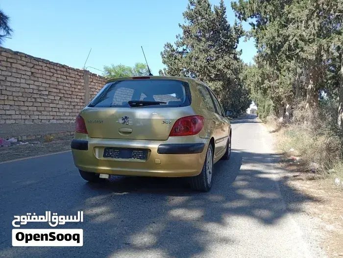 Peugeot 307 2006 photo 4