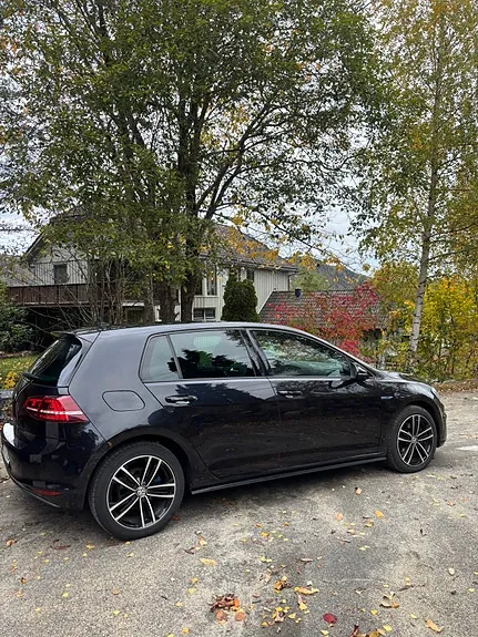 Volkswagen Golf 7 2016 photo 4