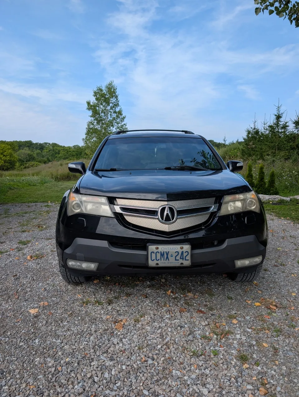 Acura Mdx 2007 photo 2