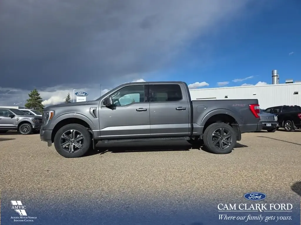 Ford F-150 2023 photo 3