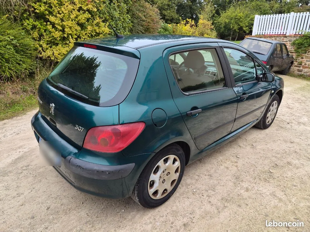 Peugeot 307 2003 photo 2