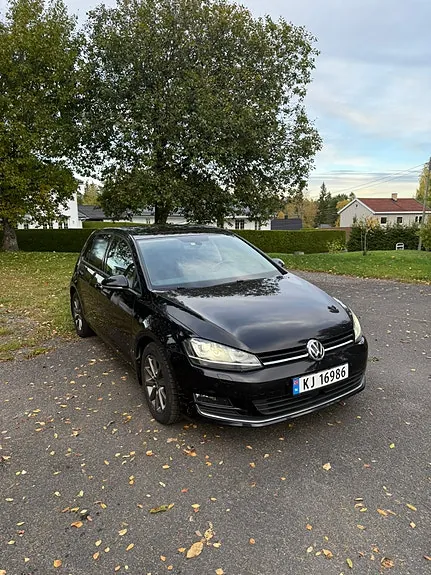 Volkswagen Golf Vii 2015 photo 5