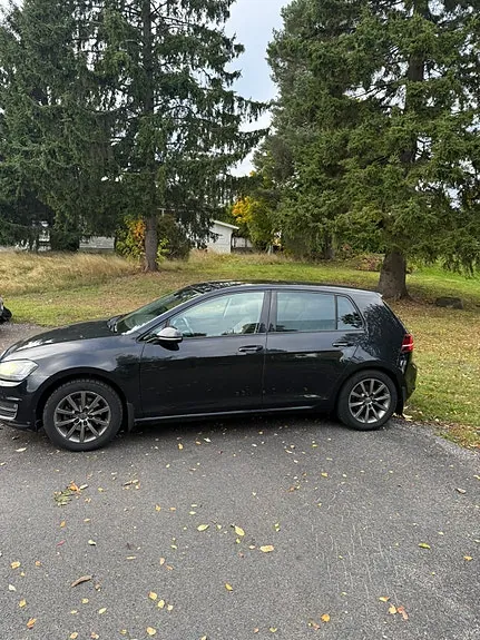 Volkswagen Golf Vii 2015 photo 2