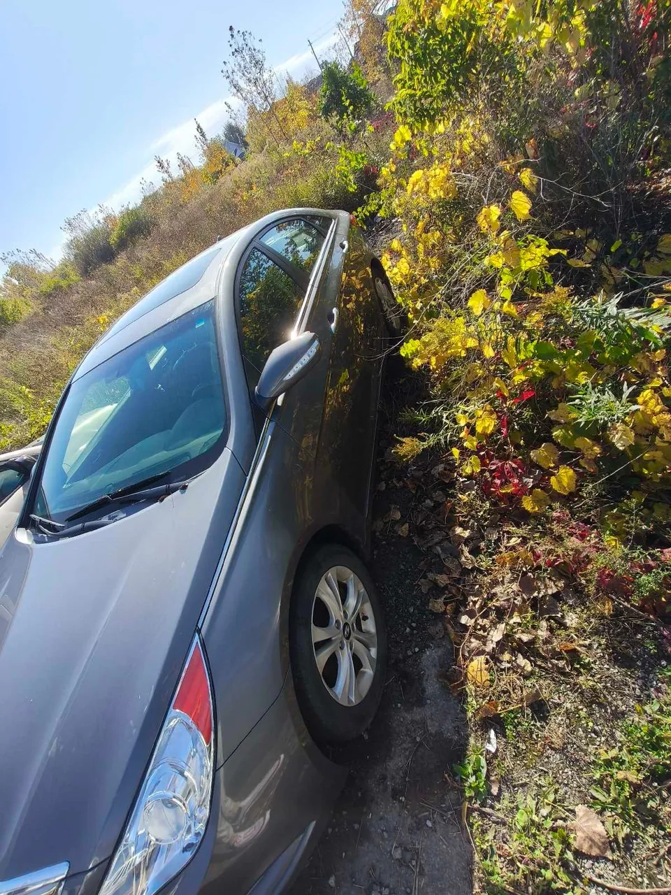 Hyundai Sonata 2011 photo 4