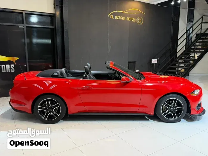 Ford Mustang 2019 photo 4