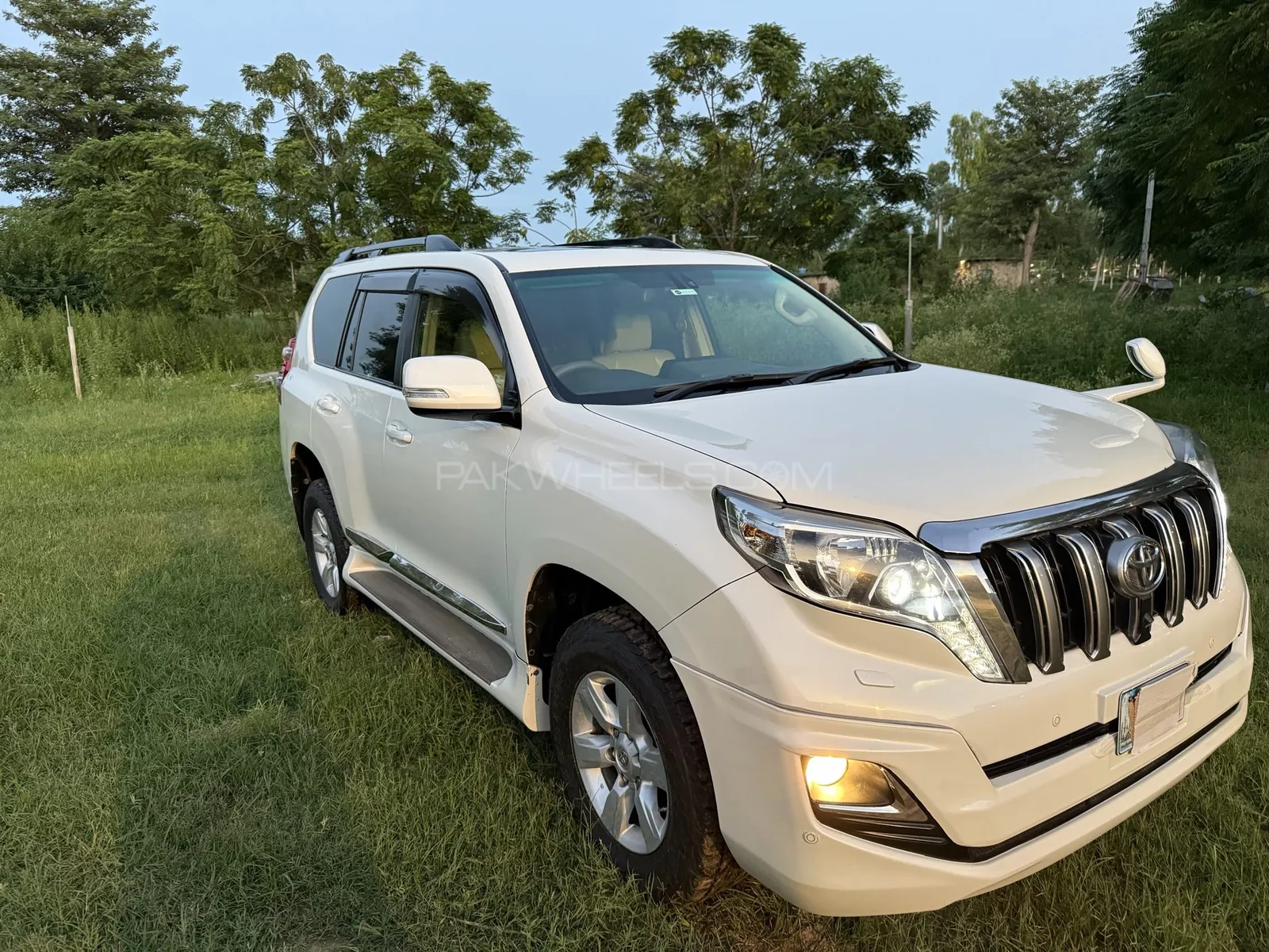 Toyota Prado