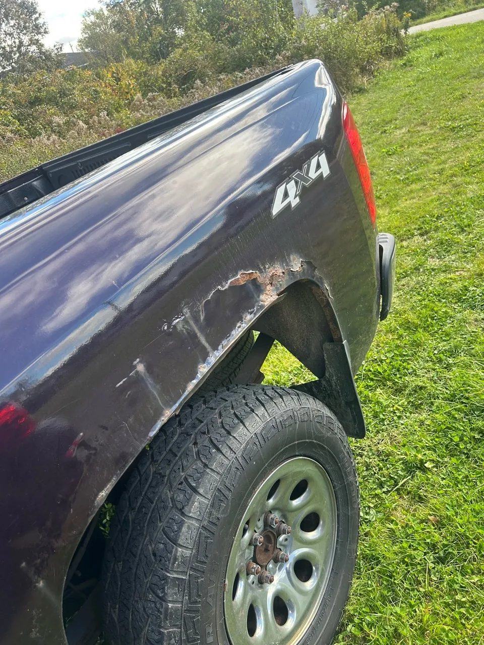 Chevrolet Silverado 1500 2009 photo 3