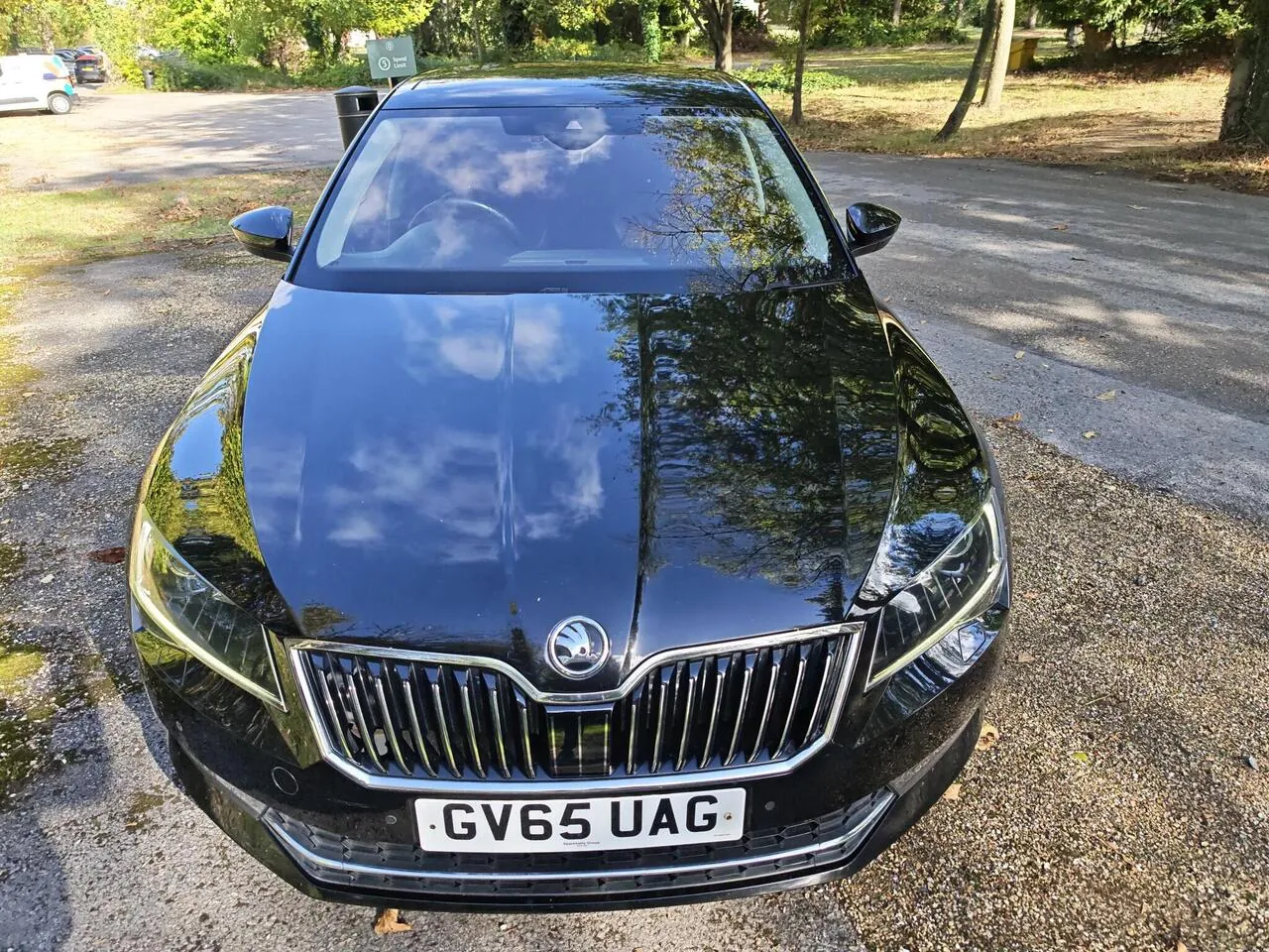 Skoda Superb 2016 photo 5