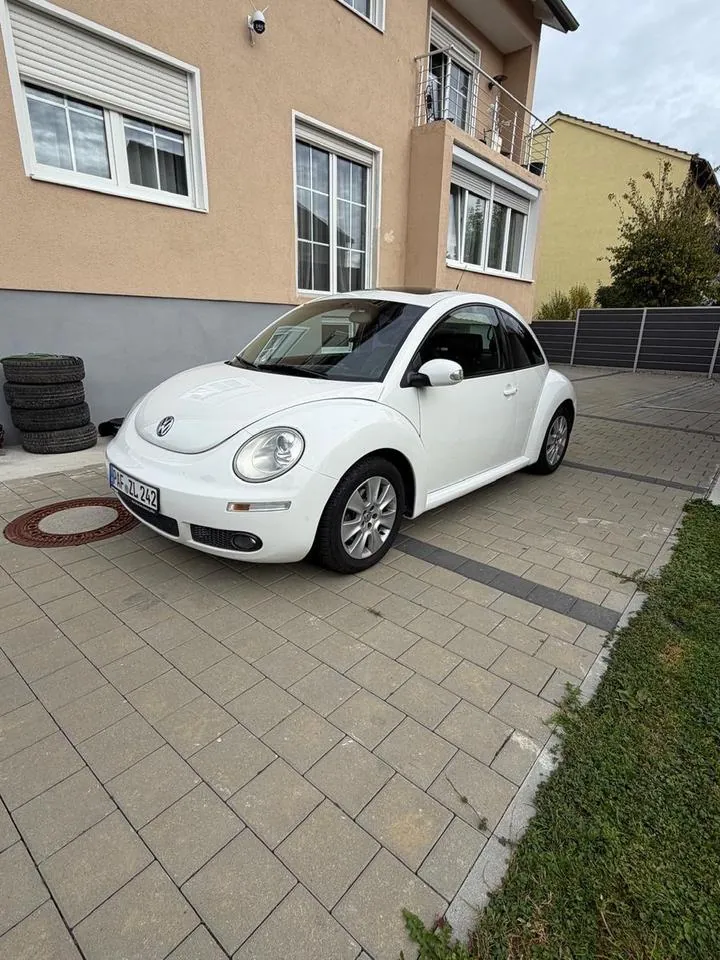 Volkswagen Käfer