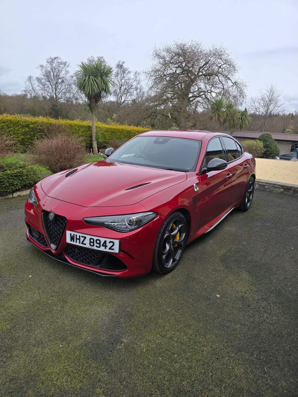 Alfa Romeo Giulia 2019 photo 3