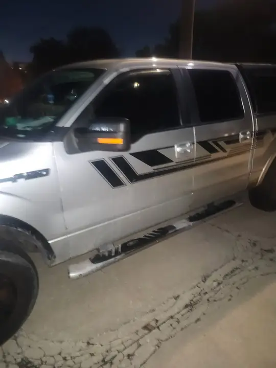 Ford F-150 2010 photo 3
