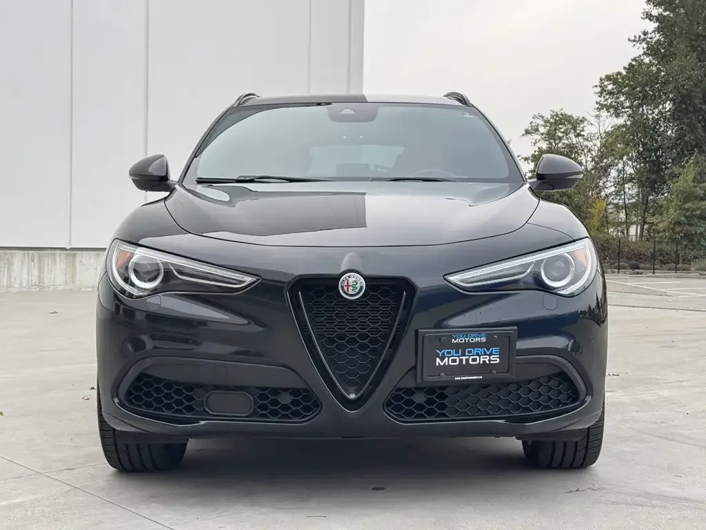 Alfa Romeo Stelvio 2021 photo 5
