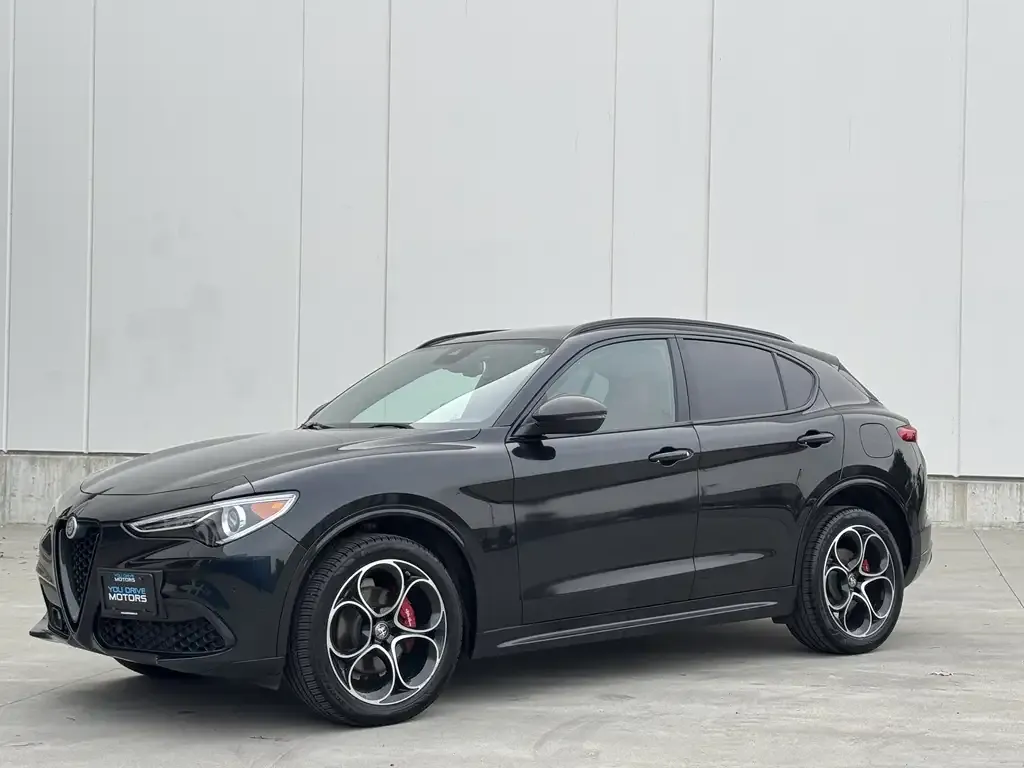 Alfa Romeo Stelvio 2021 photo 3