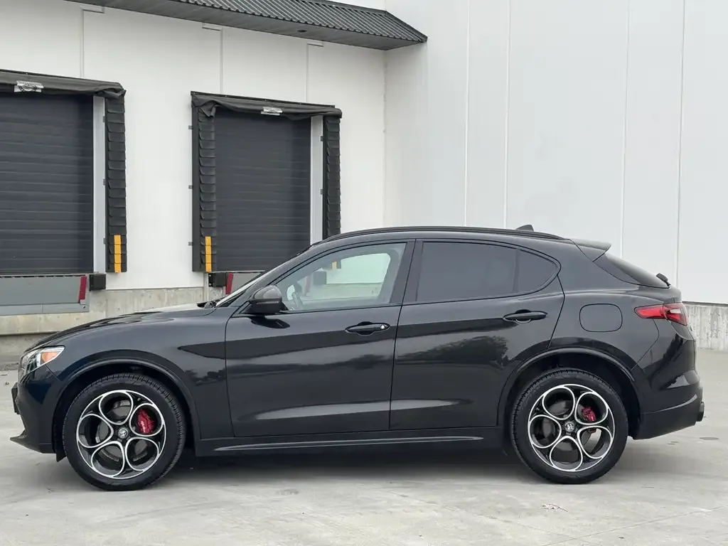 Alfa Romeo Stelvio 2021 photo 2