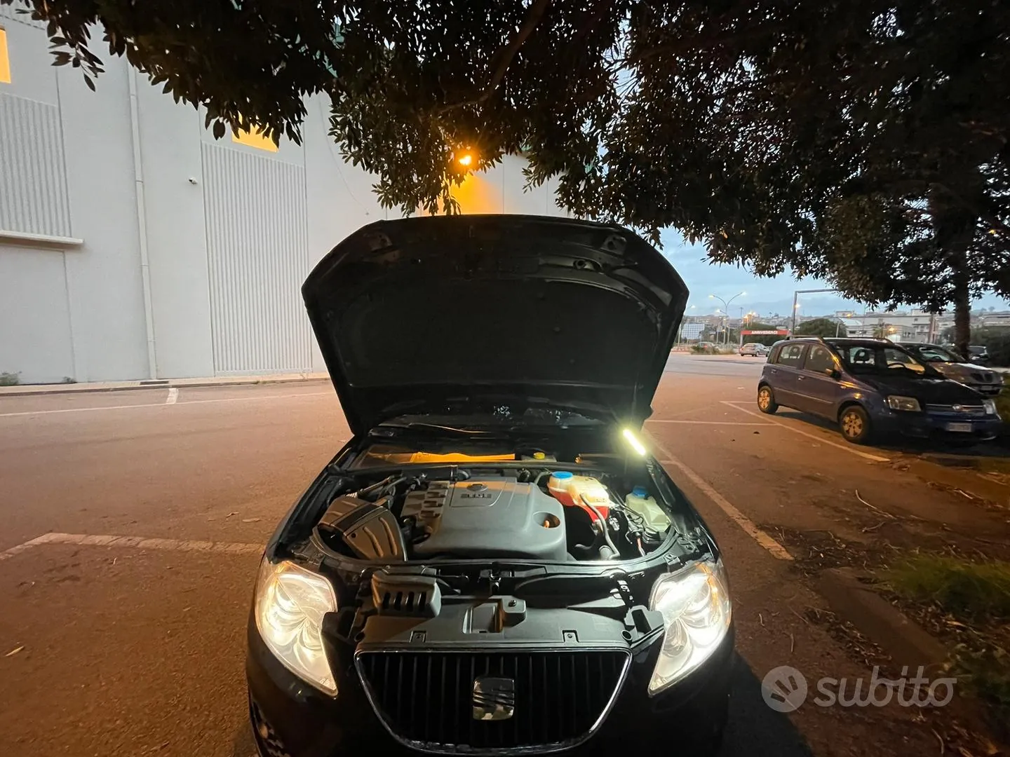 Seat Exeo 2009 photo 4