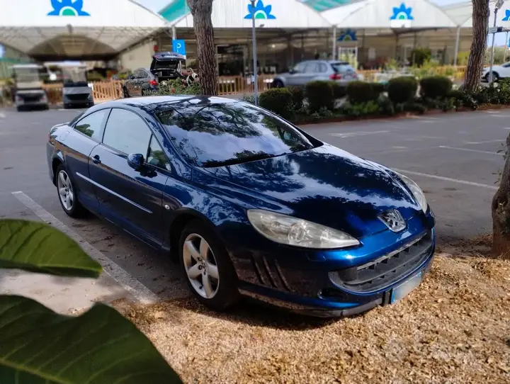 Peugeot 407 2008 photo 3