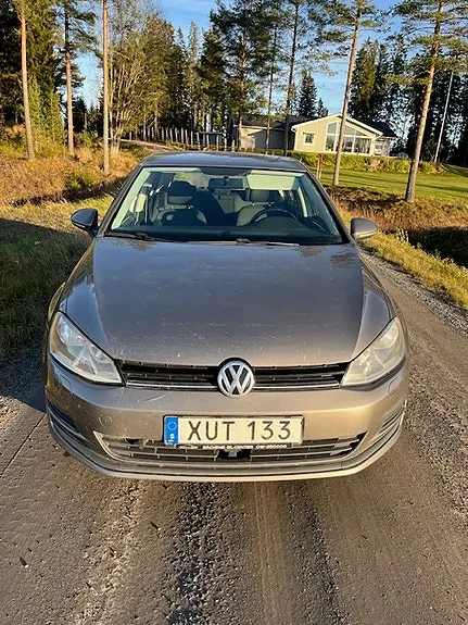 Volkswagen Golf Vii 2014 photo 4