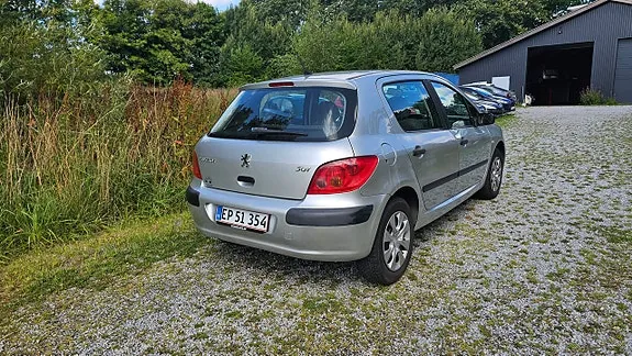 Peugeot 307 2003 photo 3