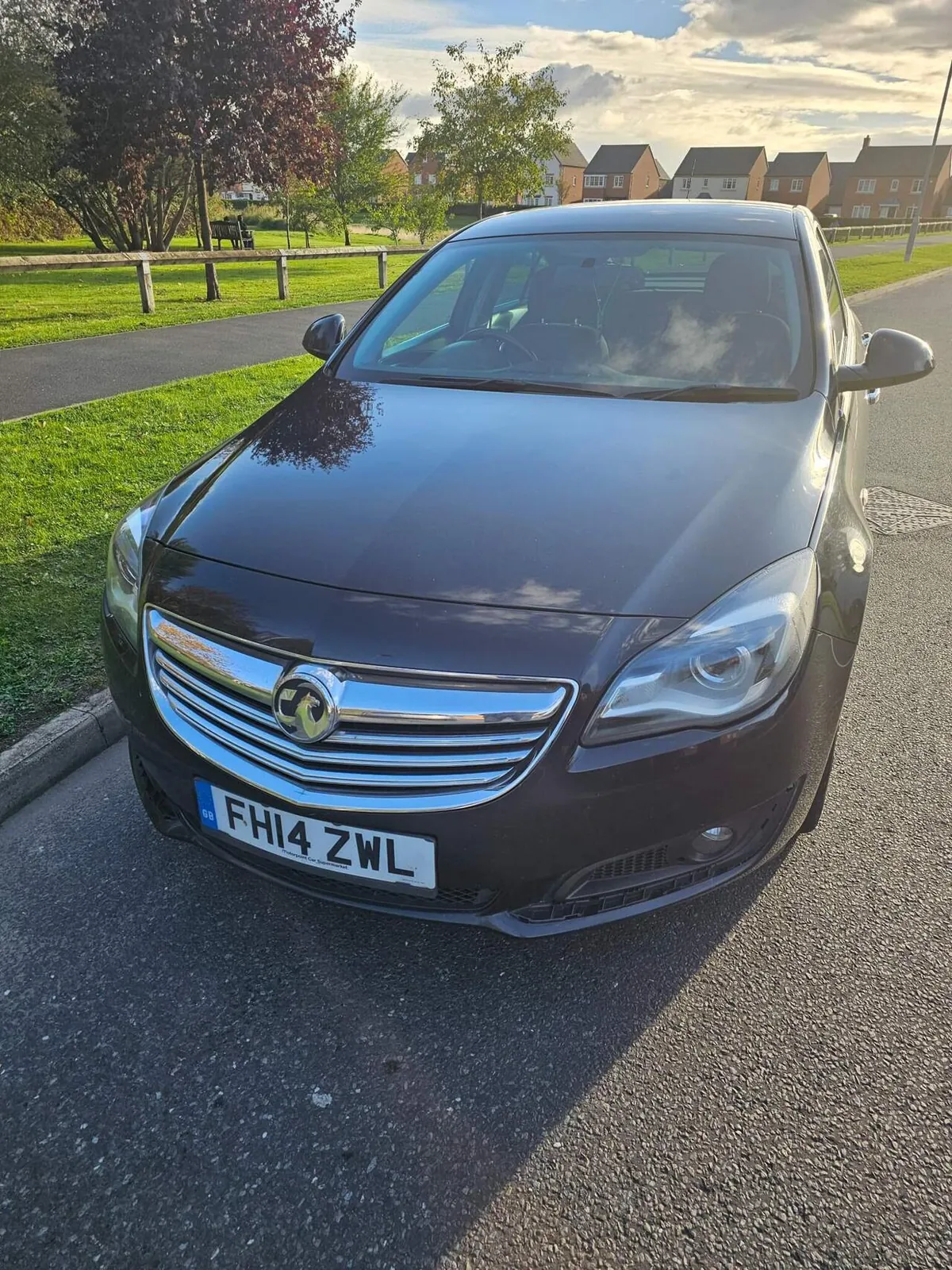 Vauxhall Insignia