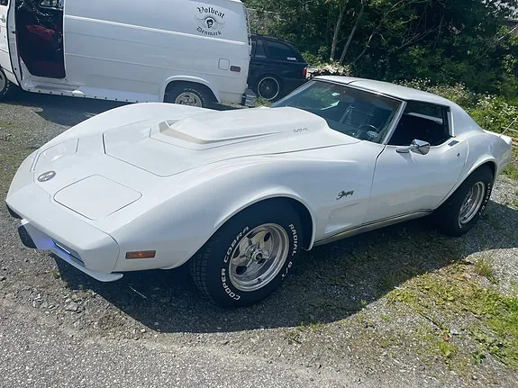 Chevrolet Corvette 1976 photo 3
