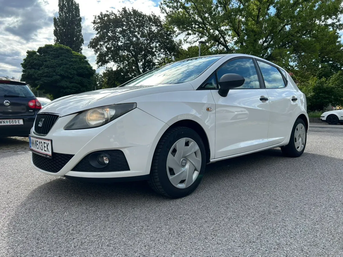 Seat Ibiza 2011 photo 2