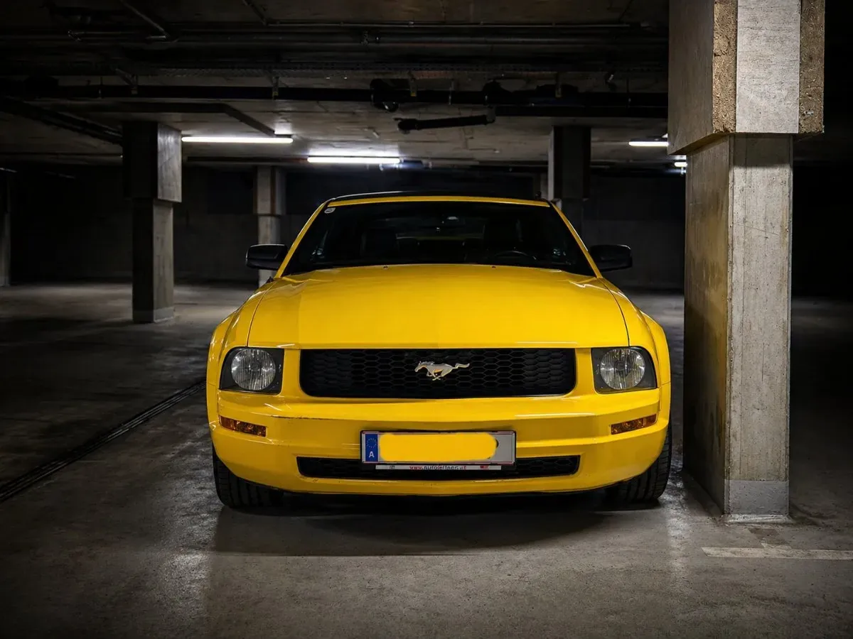 Ford Mustang 2007 photo 2