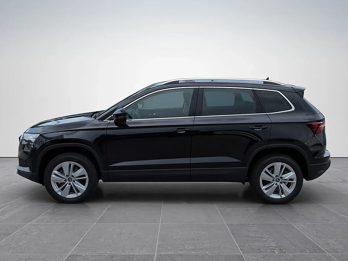 Skoda Karoq 2026 photo 3