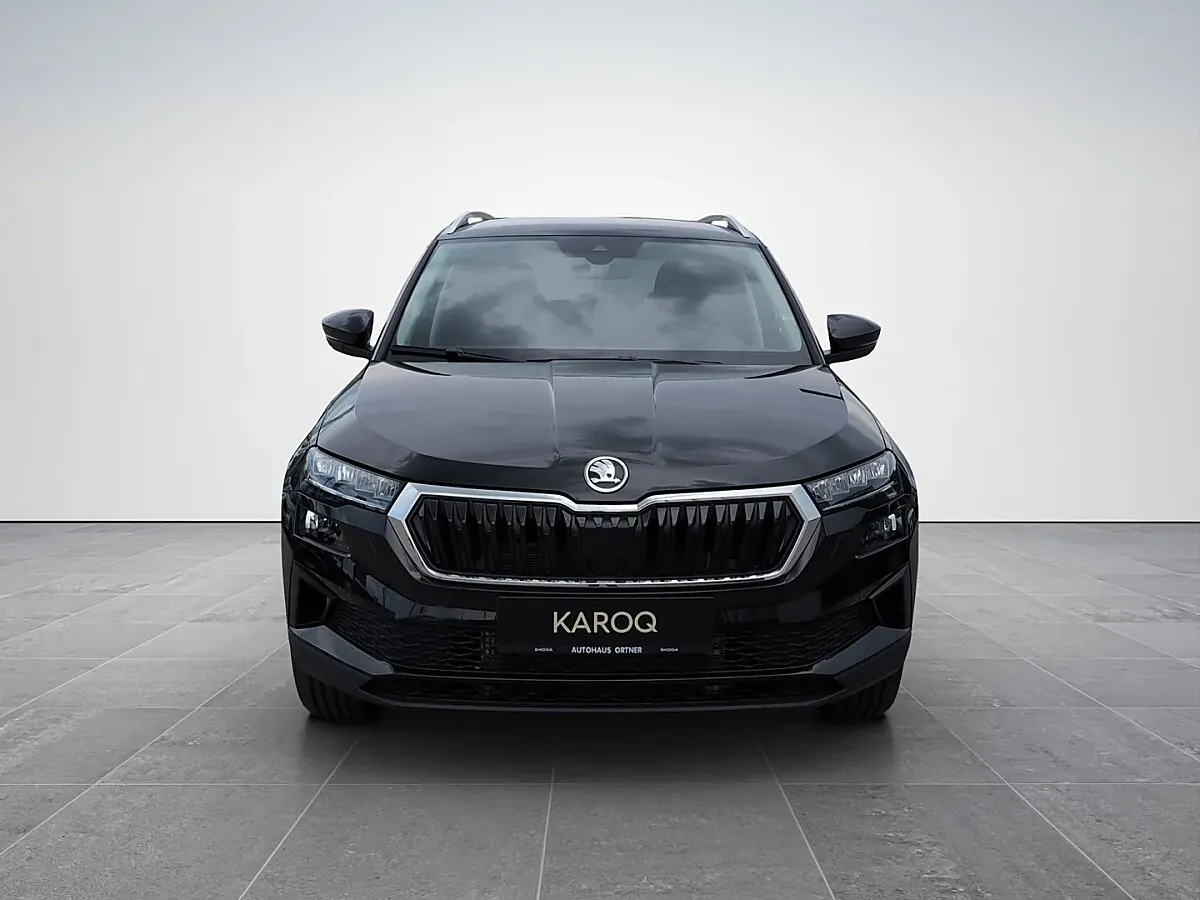 Skoda Karoq 2026 photo 2