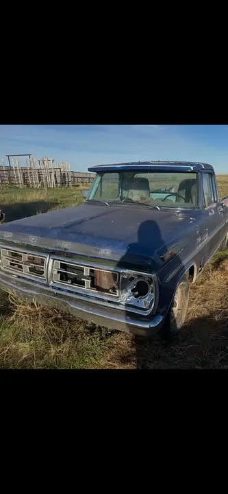 Ford F-100