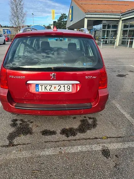 Peugeot 307 Sw 2007 photo 2