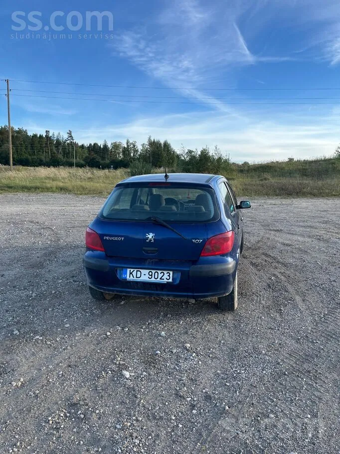 Peugeot 307 2004 photo 4