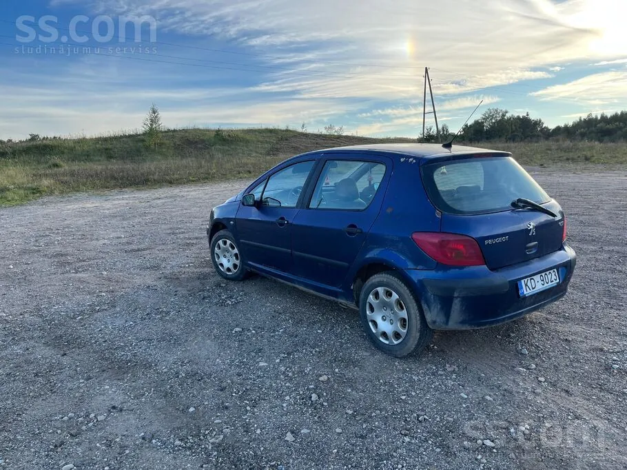 Peugeot 307 2004 photo 2