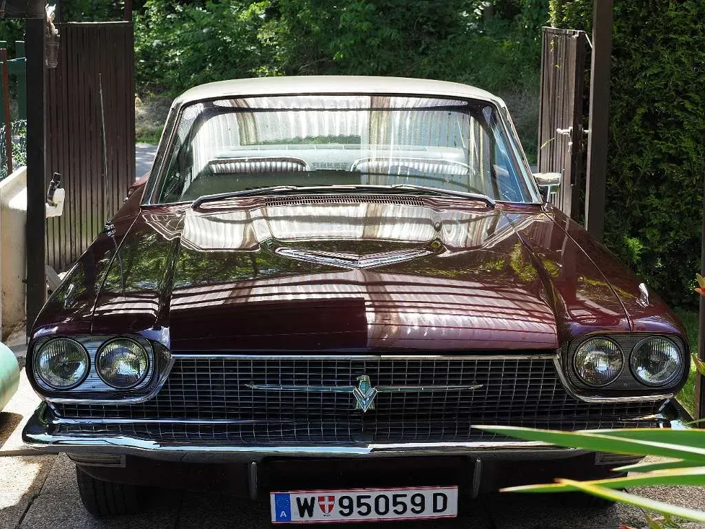 Ford Thunderbird 1966 photo 3