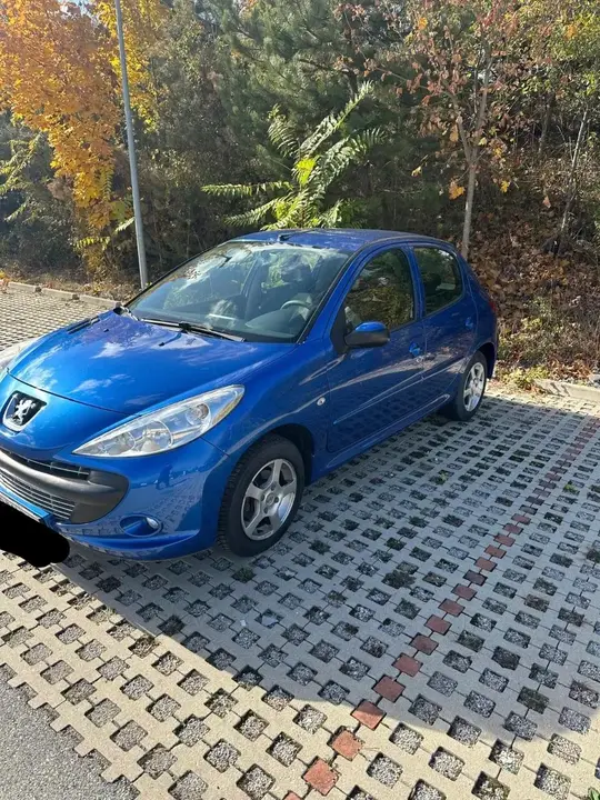 Peugeot 206 2009 photo 3