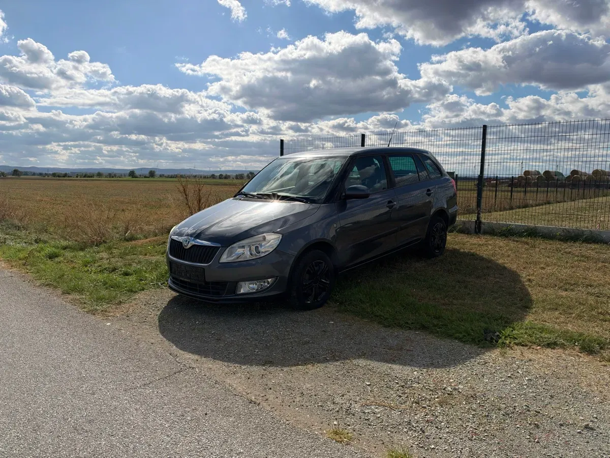 Skoda Fabia 2011 photo 2