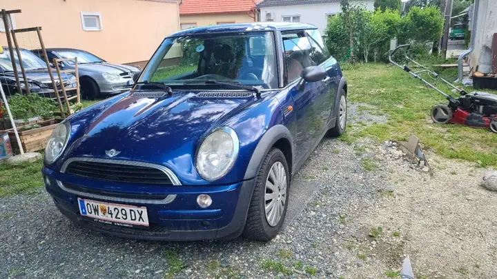 Mini Mini One