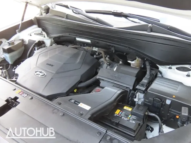 Hyundai Palisade 2019 photo 5