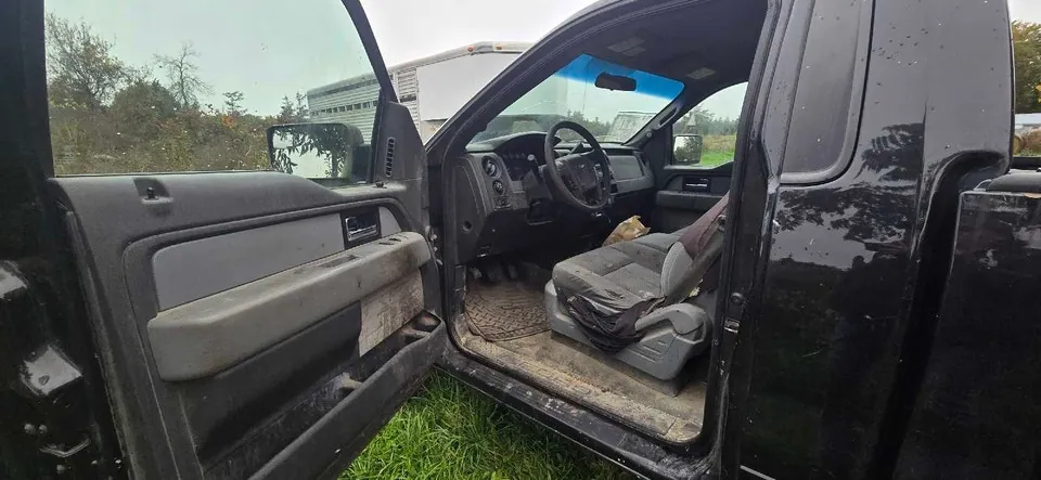 Ford F-150 2014 photo 4