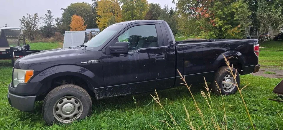 Ford F-150 2014 photo 3