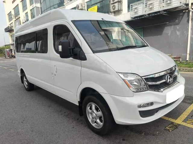 Maxus V80