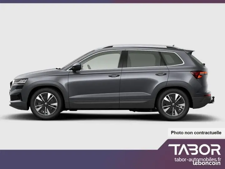 Skoda Karoq 2026 photo 2