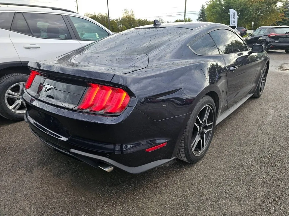 Ford Mustang 2021 photo 2