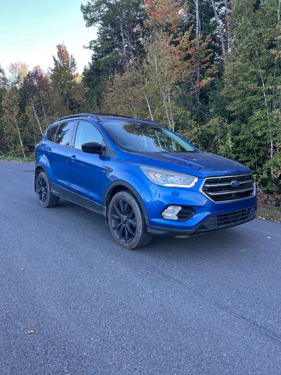 Ford Escape 2017 photo 2