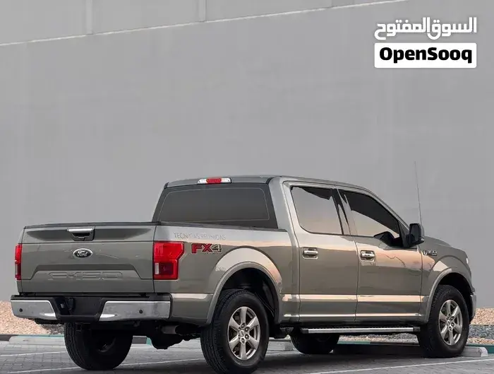 Ford F-150 2019 photo 3