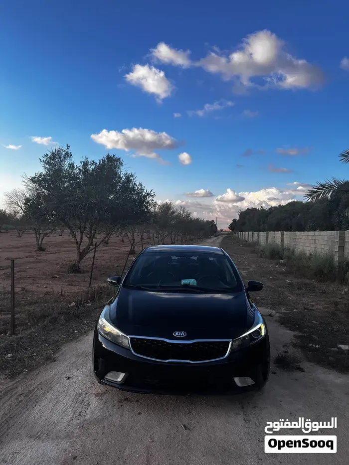 Kia Forte 2018 photo 2